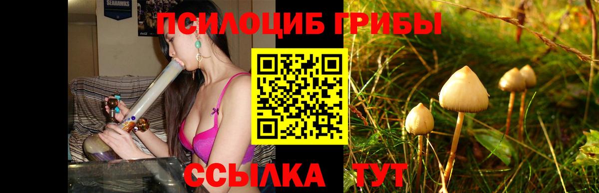 Галлюциногенные грибы Cubensis Берёзовский